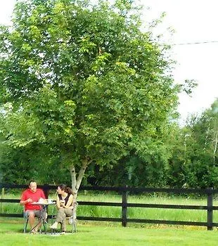 Hazelbrook 3*