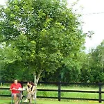 Hazelbrook 3*